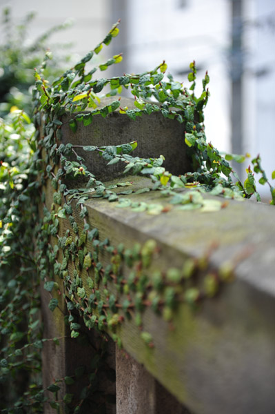 ���m�؈�א_��