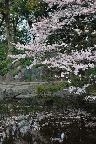 �c�����䉑�̍�