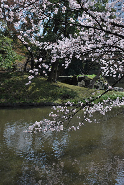 ���ΐ��y���̍�