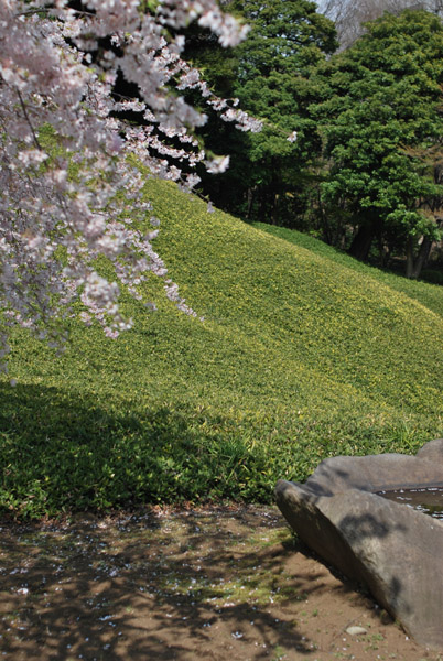 ���ΐ��y���̍�