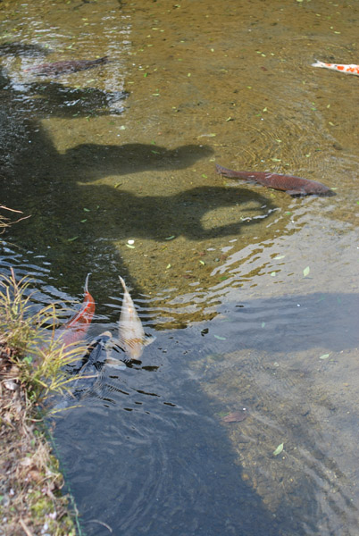 ���ΐ��y��