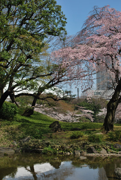 ���ΐ��y���̍�