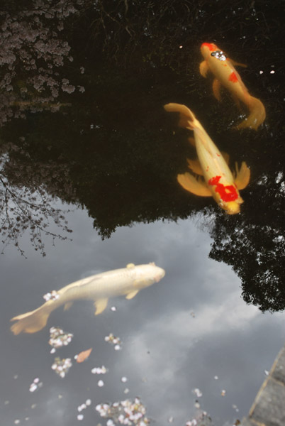 �c�����䉑�̍�