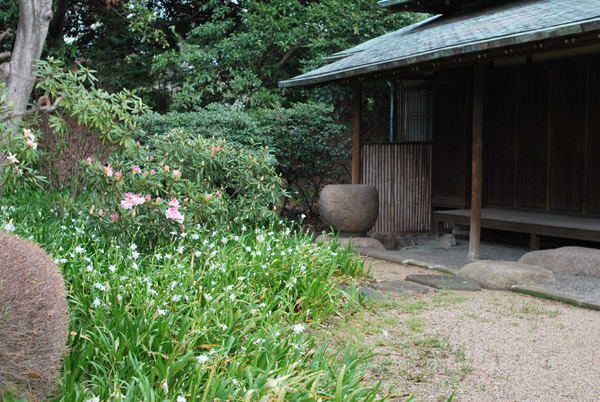 �c����̊ے뉀