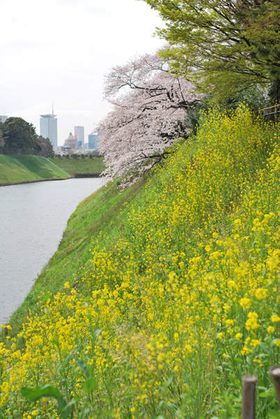 �c���̂��x�̍�