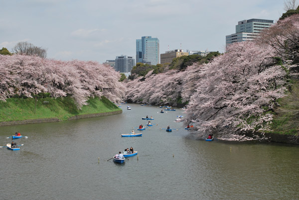 �璹�����̍�