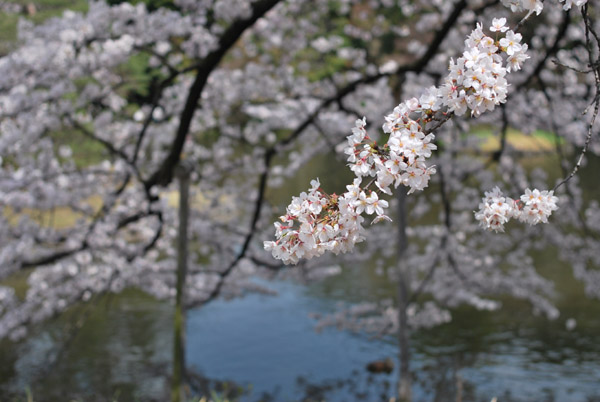 ���ΐ��y���̍�