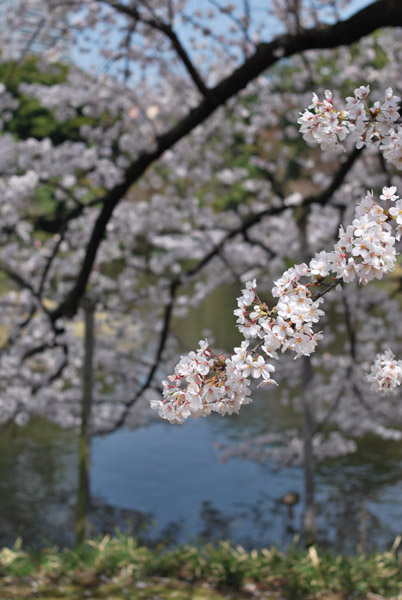 ���ΐ��y���̍�