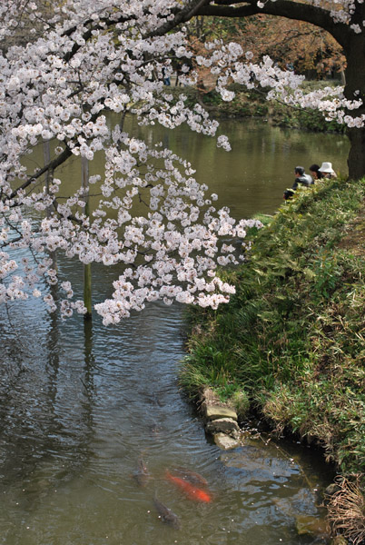 ���ΐ��y���̍�