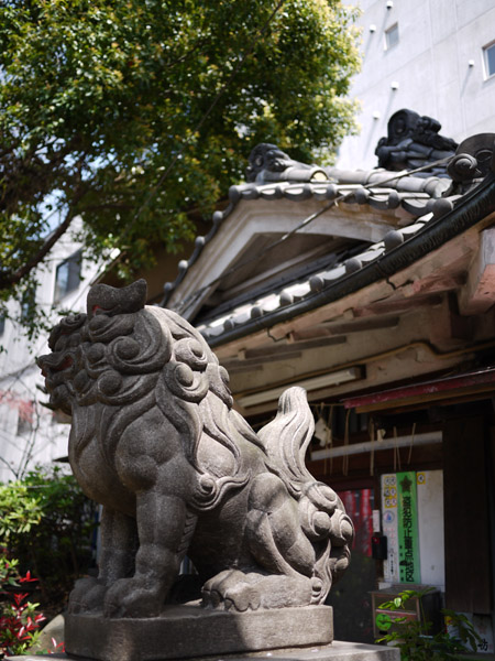 �F����א_�Ђ̍���