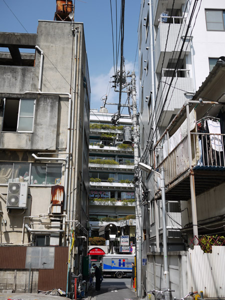 �S�l���̕��i