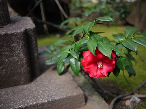 �S���_��