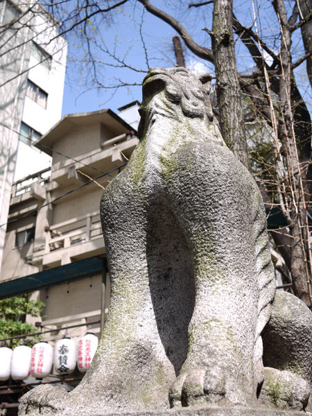 �S���_�Ђ̍���