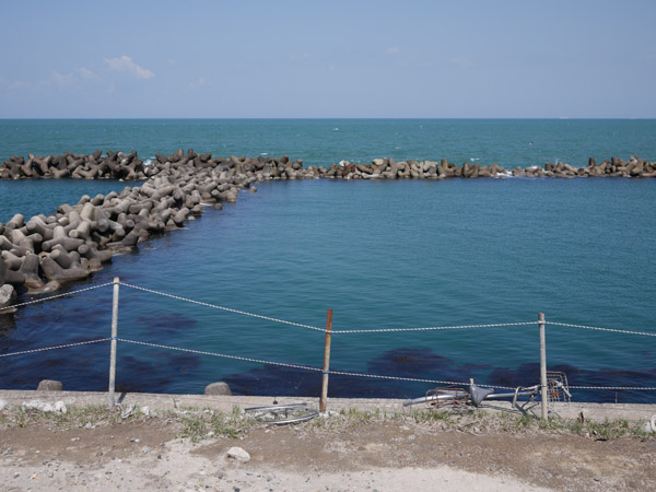 �V���̊C��