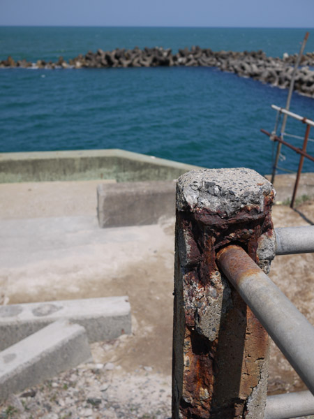 �V���̊C��