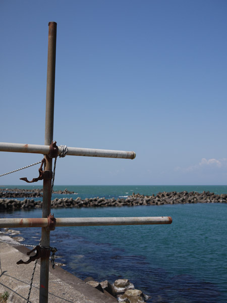 �V���̊C��