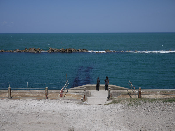 �V���̊C��