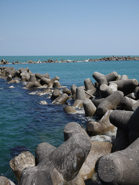 �V���̊C��