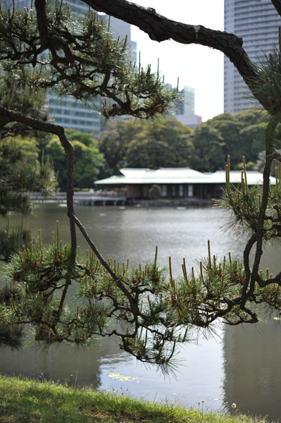 �l���{�뉀