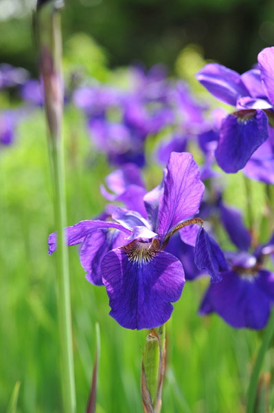 �l���{�뉀