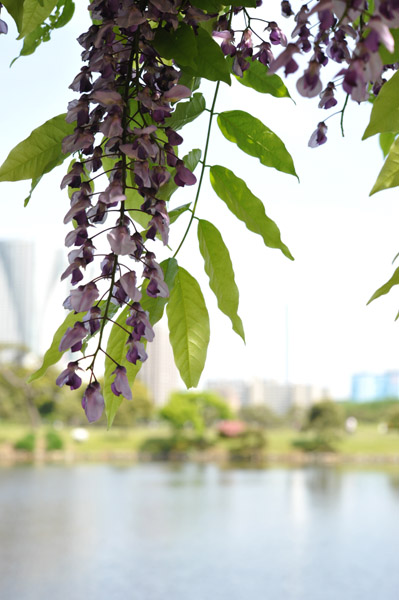 �l���{�뉀