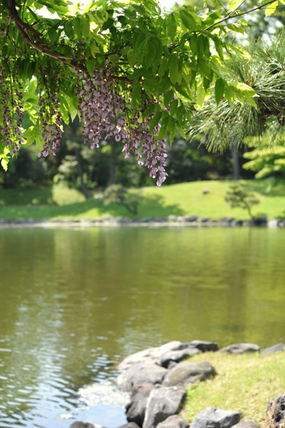 �l���{�뉀