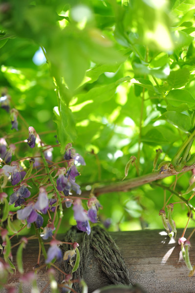 �l���{�뉀