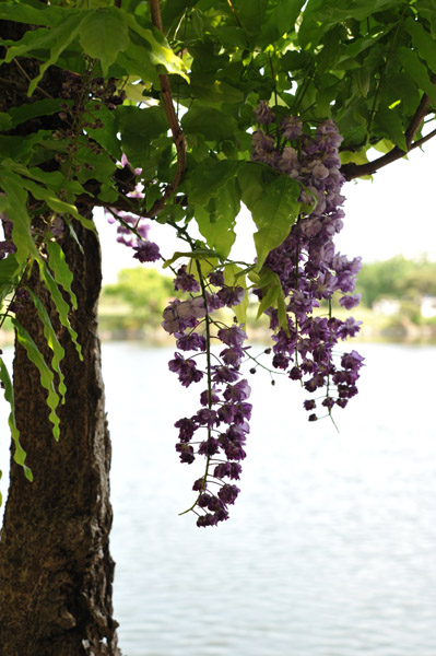 �l���{�뉀