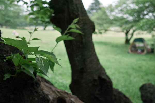 ���a�L�O����