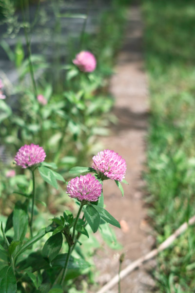 ���a�L�O����