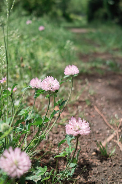 ���a�L�O����