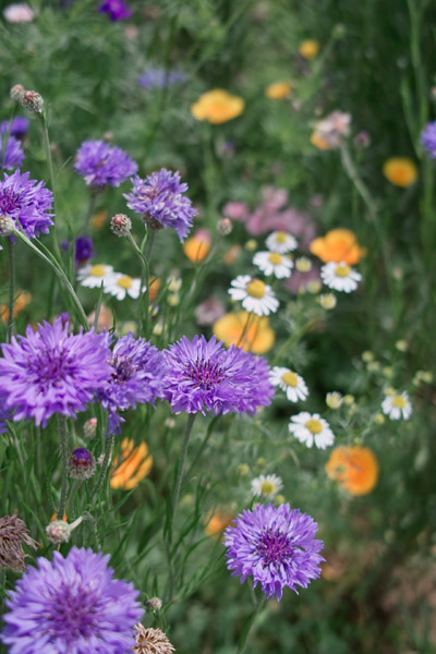 ���a�L�O����