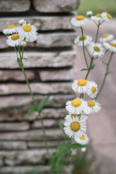 ���a�L�O����