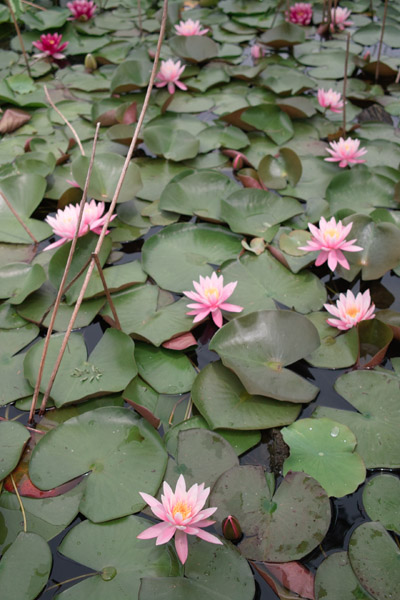 ���a�L�O����