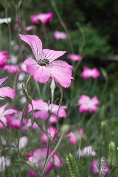 ���a�L�O����