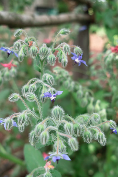 ���a�L�O����