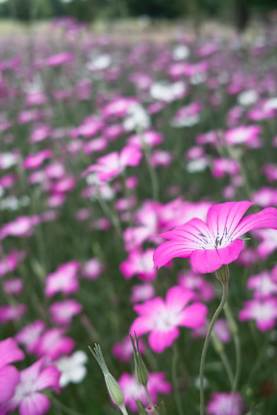 ���a�L�O����