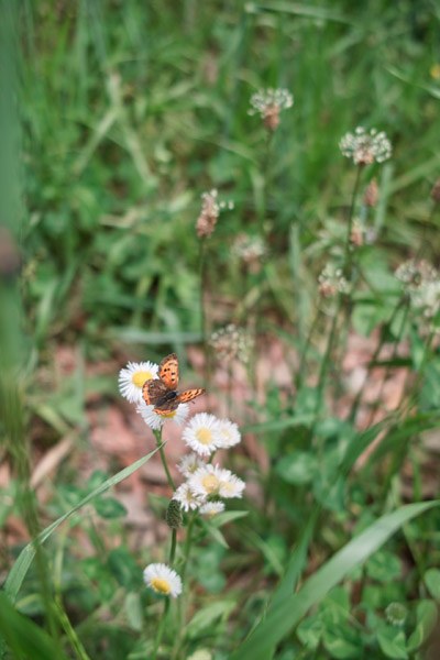 ���a�L�O����