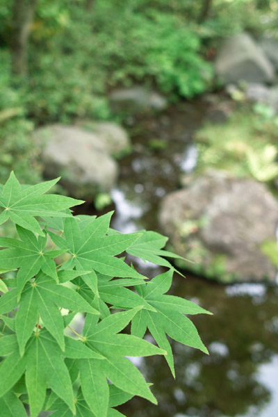 ���a�L�O����