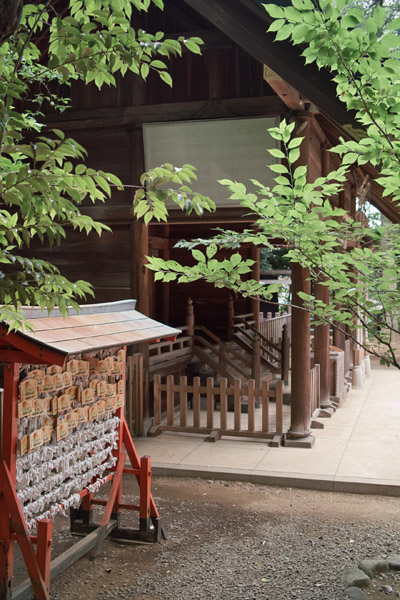 ���V���X��_��