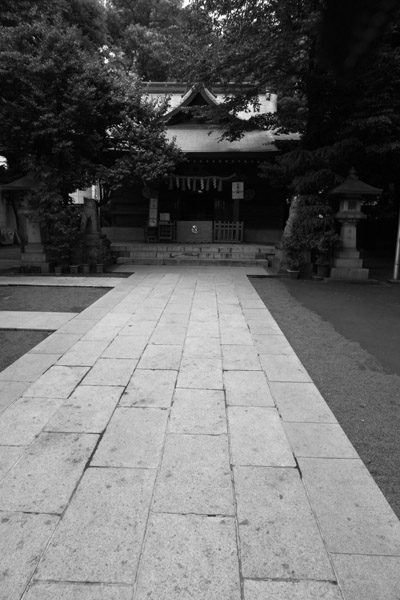 �V�c�_�Ђ̎Q��