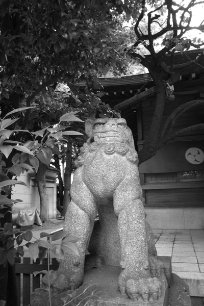 �V�c�_�Ђ̋����̕��i