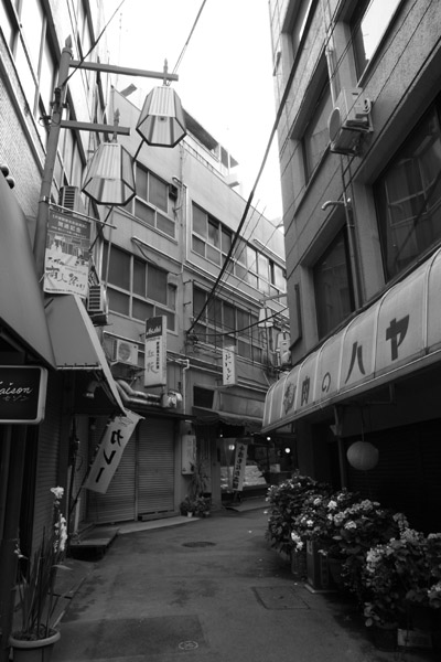 JR��ˉw�̉w�O���i