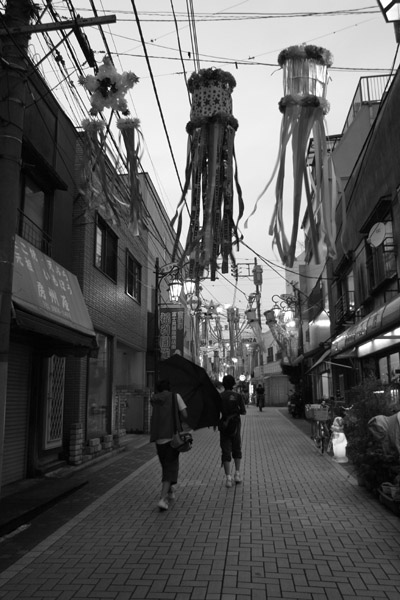 �P�������n�߂�l�X