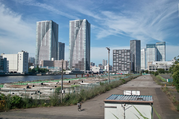 ���C�u��