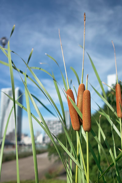 ���C�u��