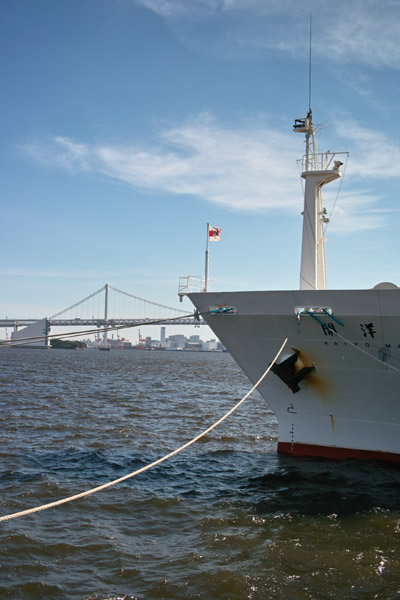 ���C�u��