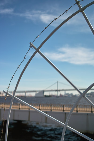 ���C�u��