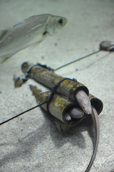 �����ՊC������