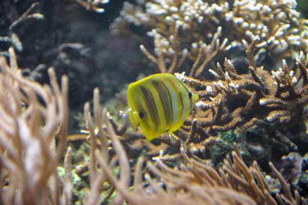 �����ՊC������